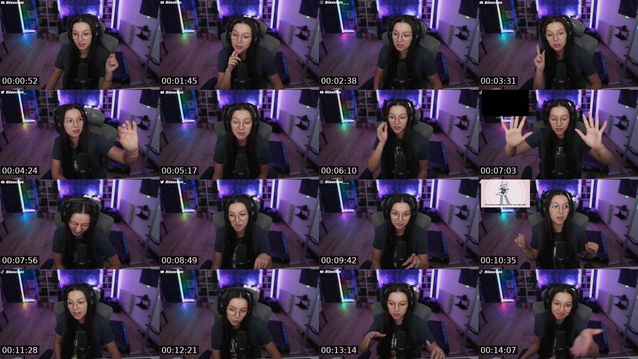 Contact-sheet preview of Bisscute's Twitch recording