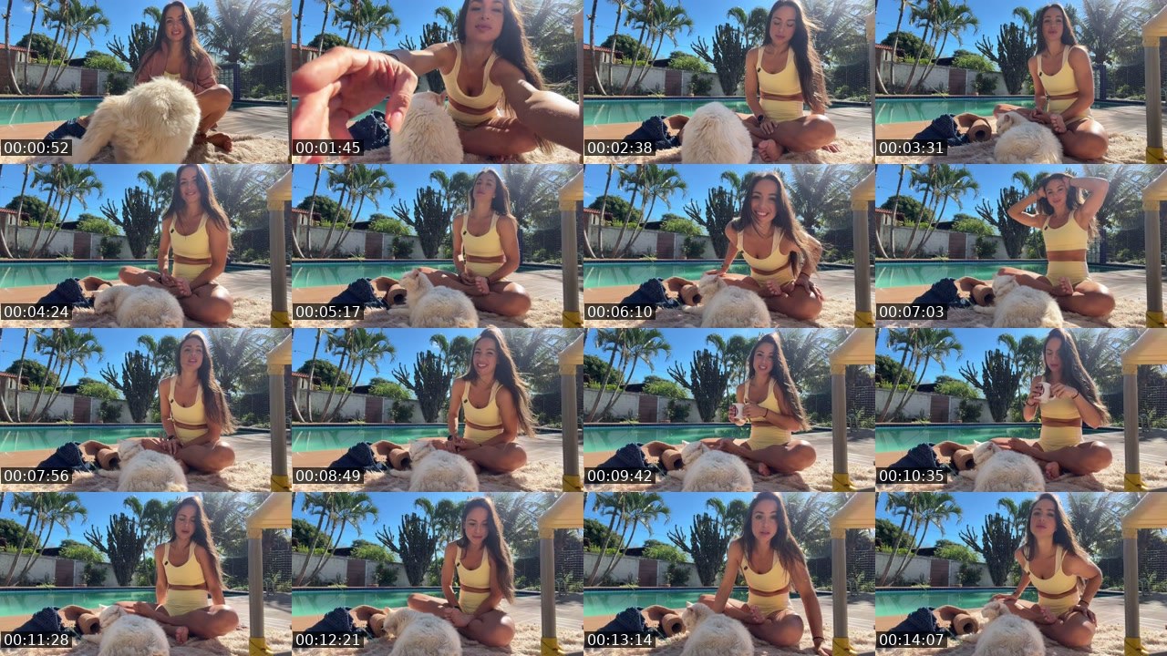 Contact-sheet preview of Evah_hhhh's Twitch recording