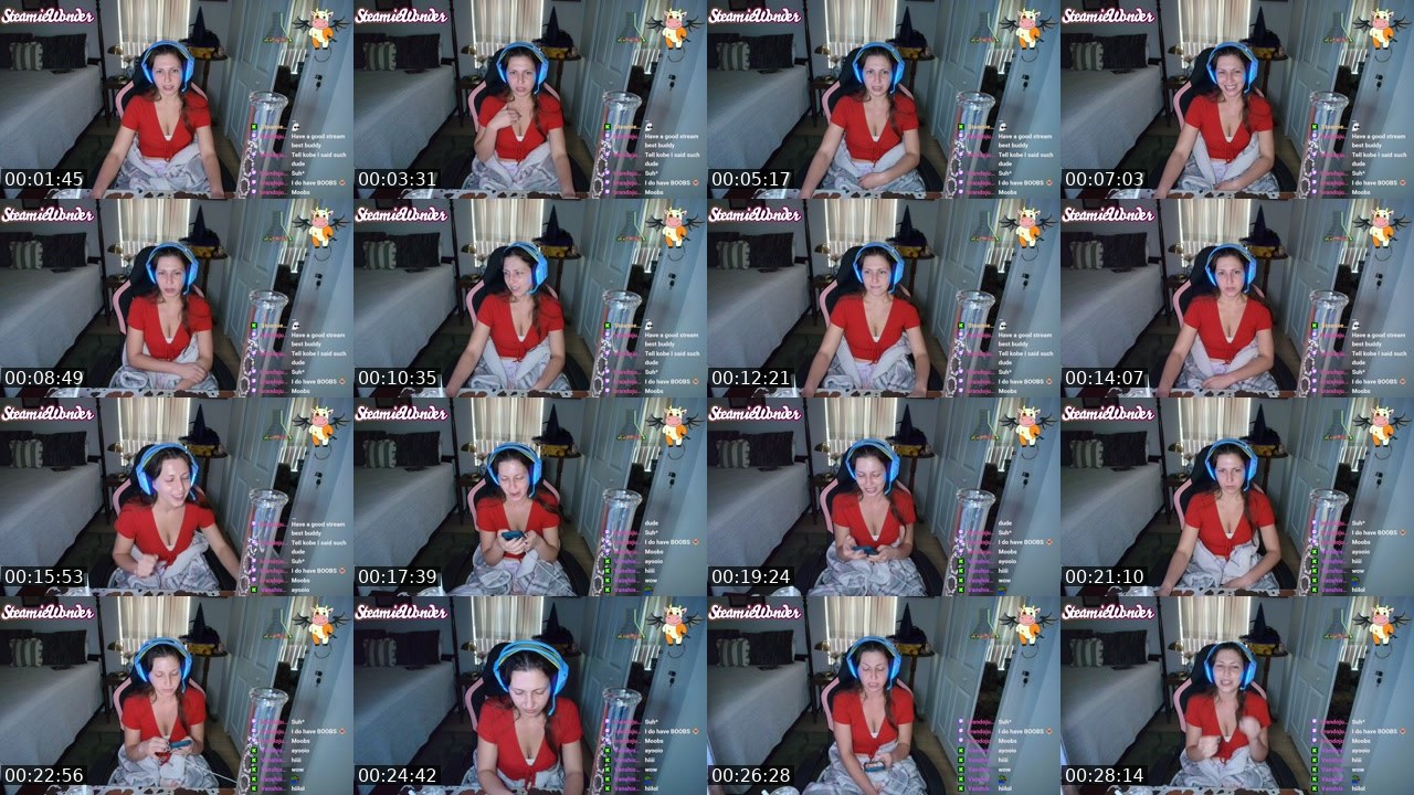Contact-sheet preview of steamiewonder's Twitch recording