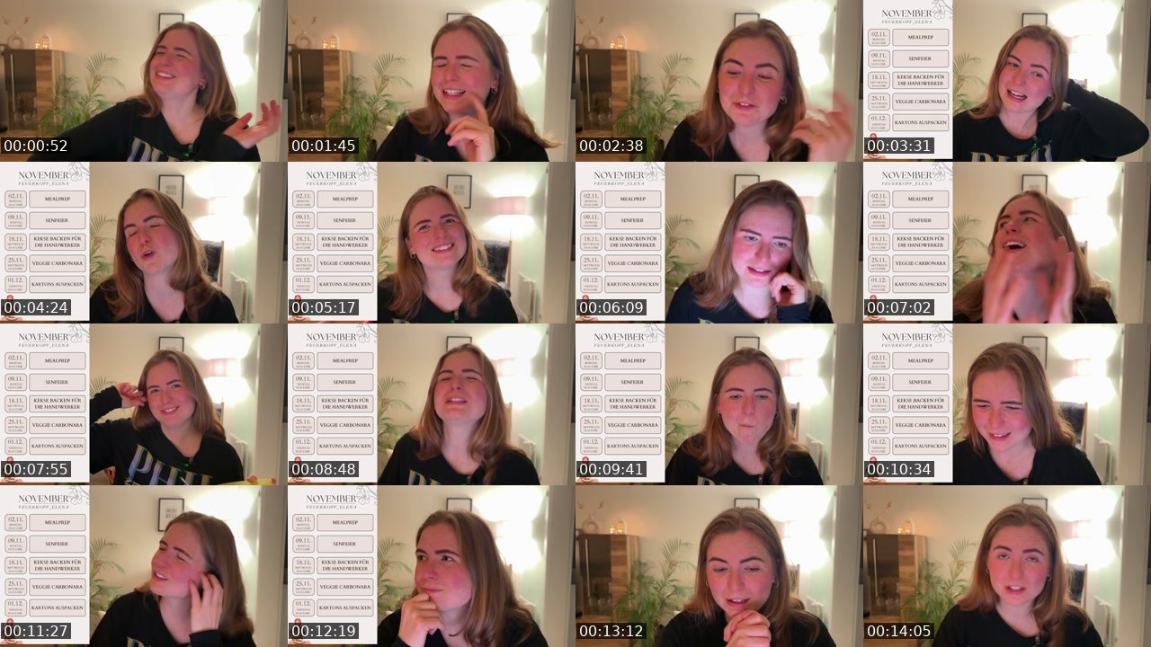 Contact-sheet preview of Feuerkopf_Elena's Twitch recording