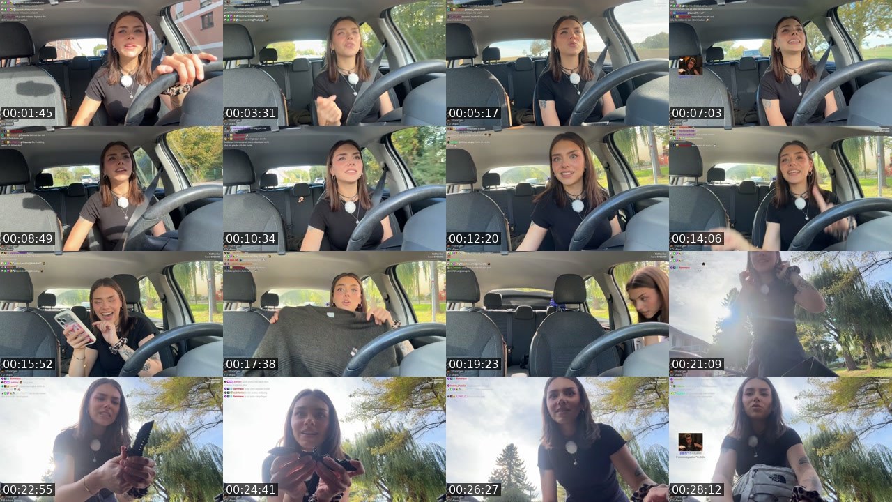 Contact-sheet preview of schiddii's Twitch recording