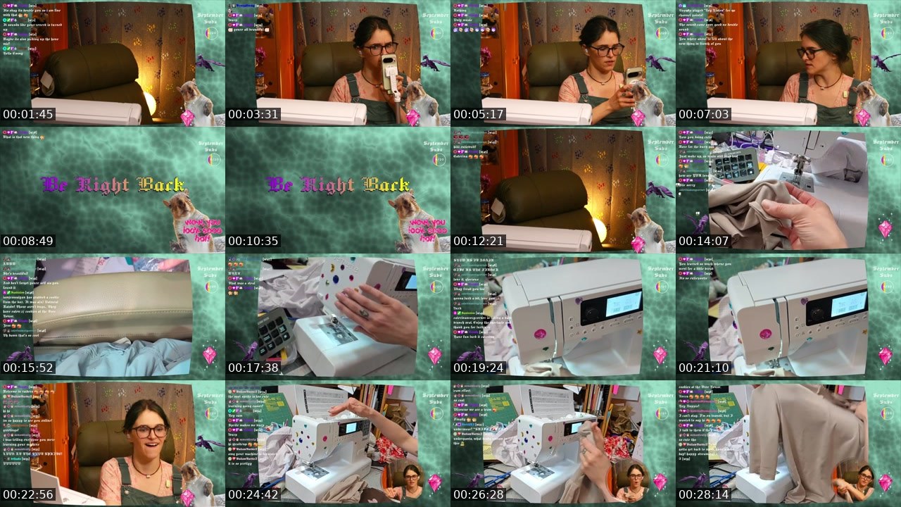 Contact-sheet preview of SquirrelInStitches's Twitch recording