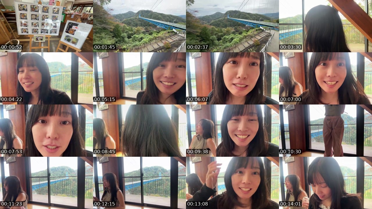 Contact-sheet preview of まるごとみかん's Twitch recording
