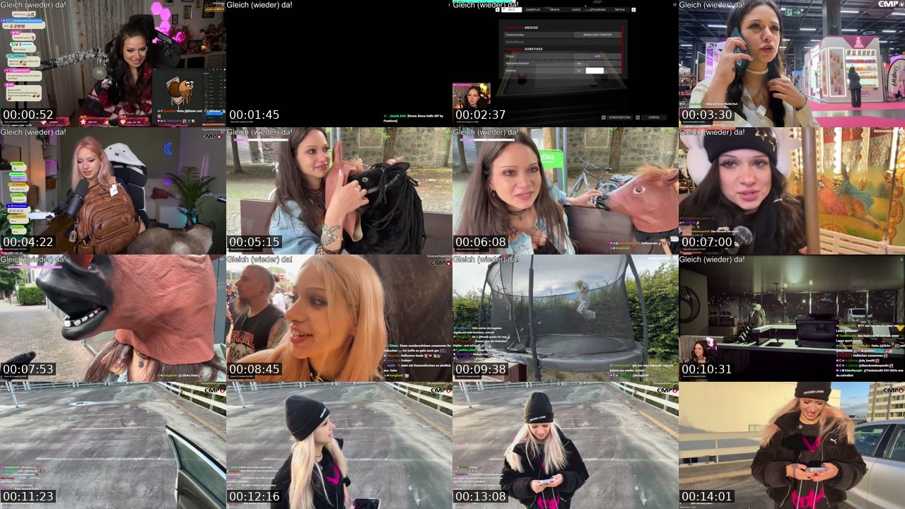 Contact-sheet preview of almostfeline's Twitch recording