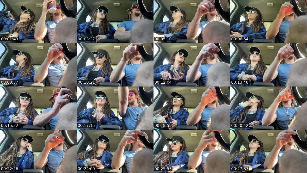 Contact-sheet preview of AlyssaWilds's Twitch recording