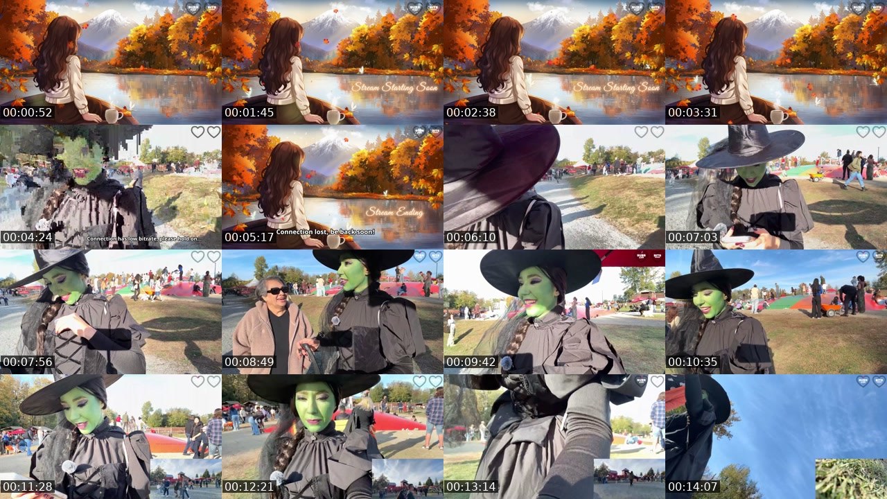 Contact-sheet preview of Fuzhpuzy's Twitch recording