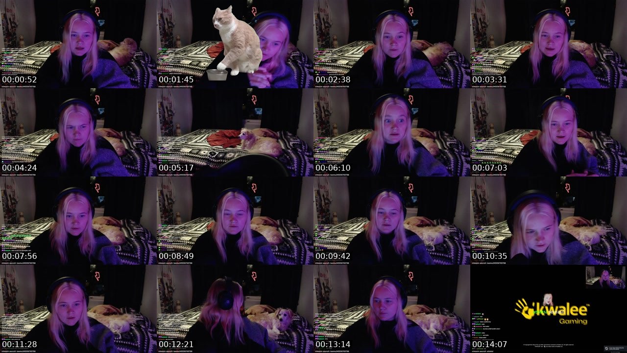 Contact-sheet preview of suhmuri's Twitch recording