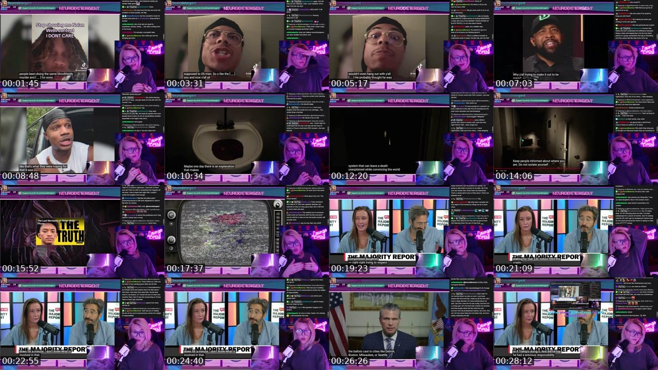 Contact-sheet preview of neurodetergent's Twitch recording