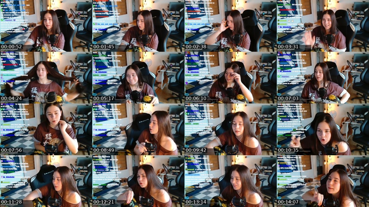 Contact-sheet preview of chickshnitty's Twitch recording