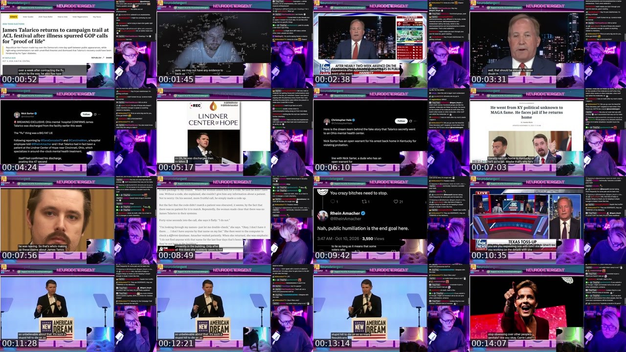 Contact-sheet preview of neurodetergent's Twitch recording