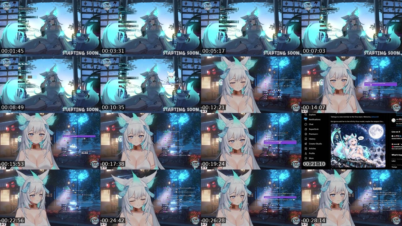 Contact-sheet preview of vixi's Twitch recording