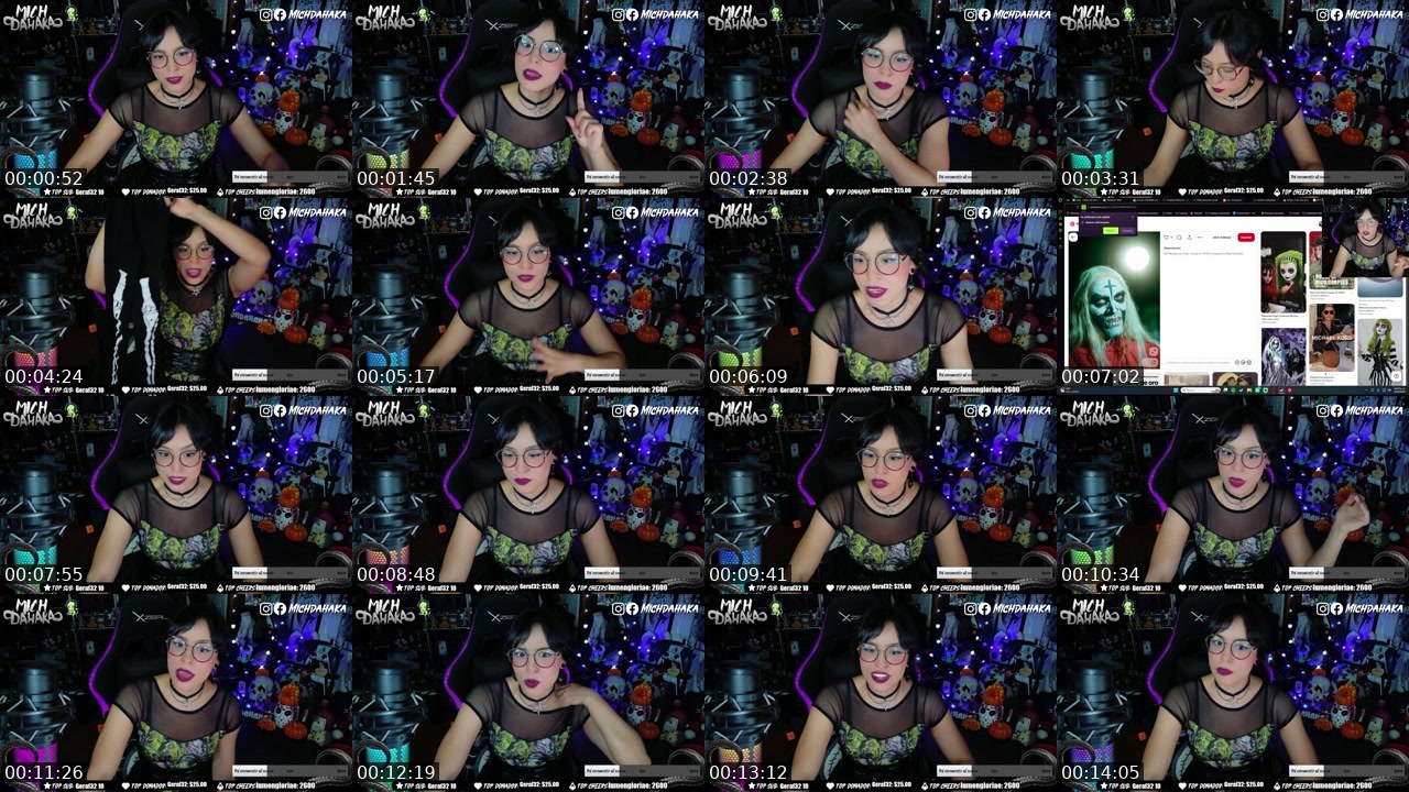 Contact-sheet preview of Michdahaka's Twitch recording
