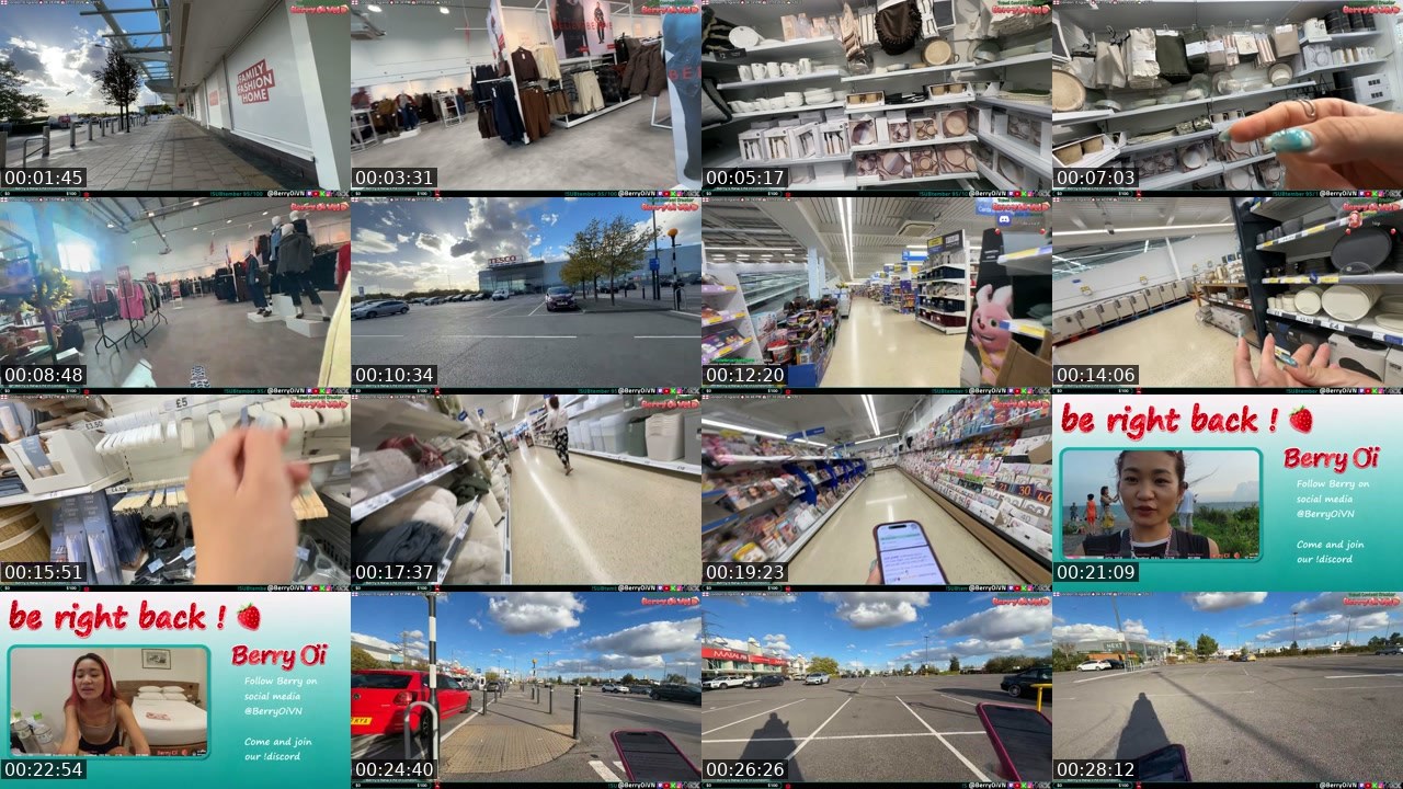 Contact-sheet preview of BerryOi's Twitch recording
