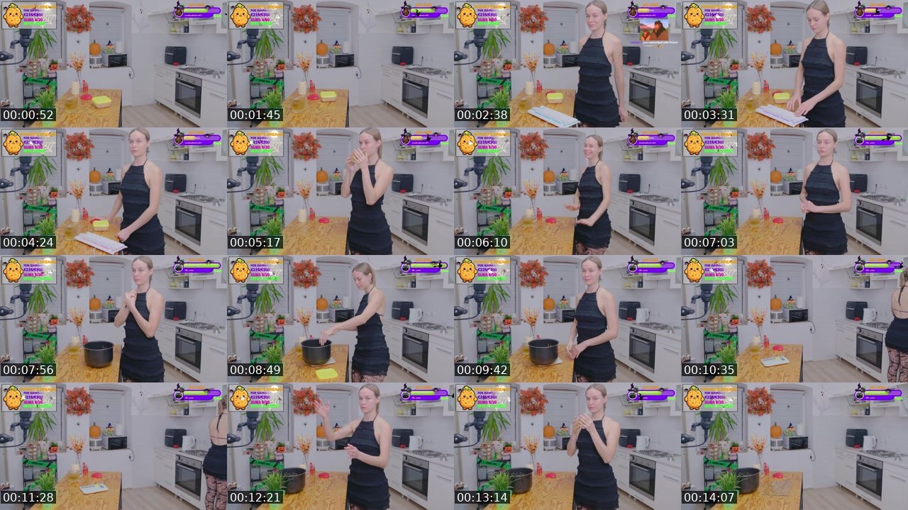 Contact-sheet preview of Gavrilka's Twitch recording