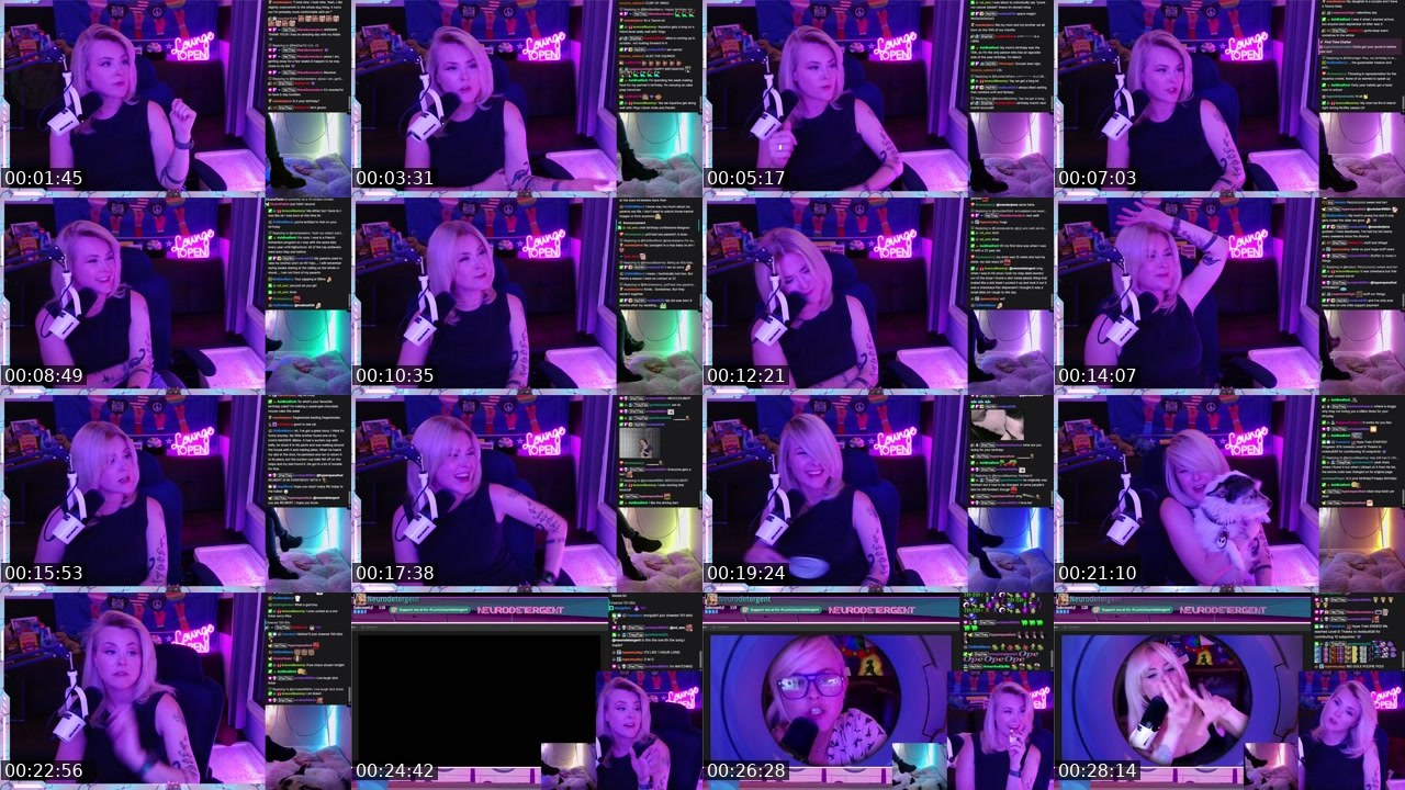 Contact-sheet preview of neurodetergent's Twitch recording