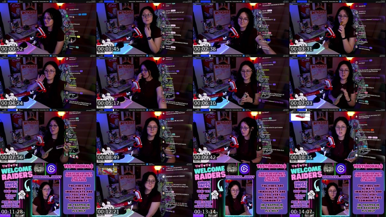 Contact-sheet preview of homeless__ghost's Twitch recording