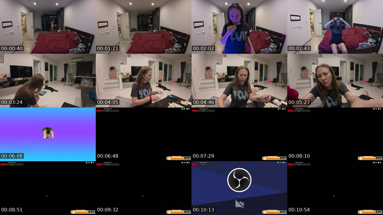 Contact-sheet preview of rodinafromthai's Twitch recording