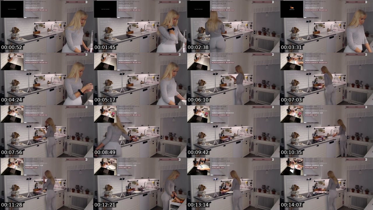 Contact-sheet preview of LinnyNova's Twitch recording