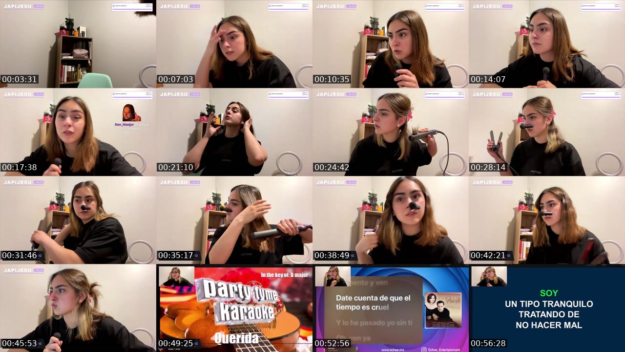 Contact-sheet preview of japijesu's Twitch recording