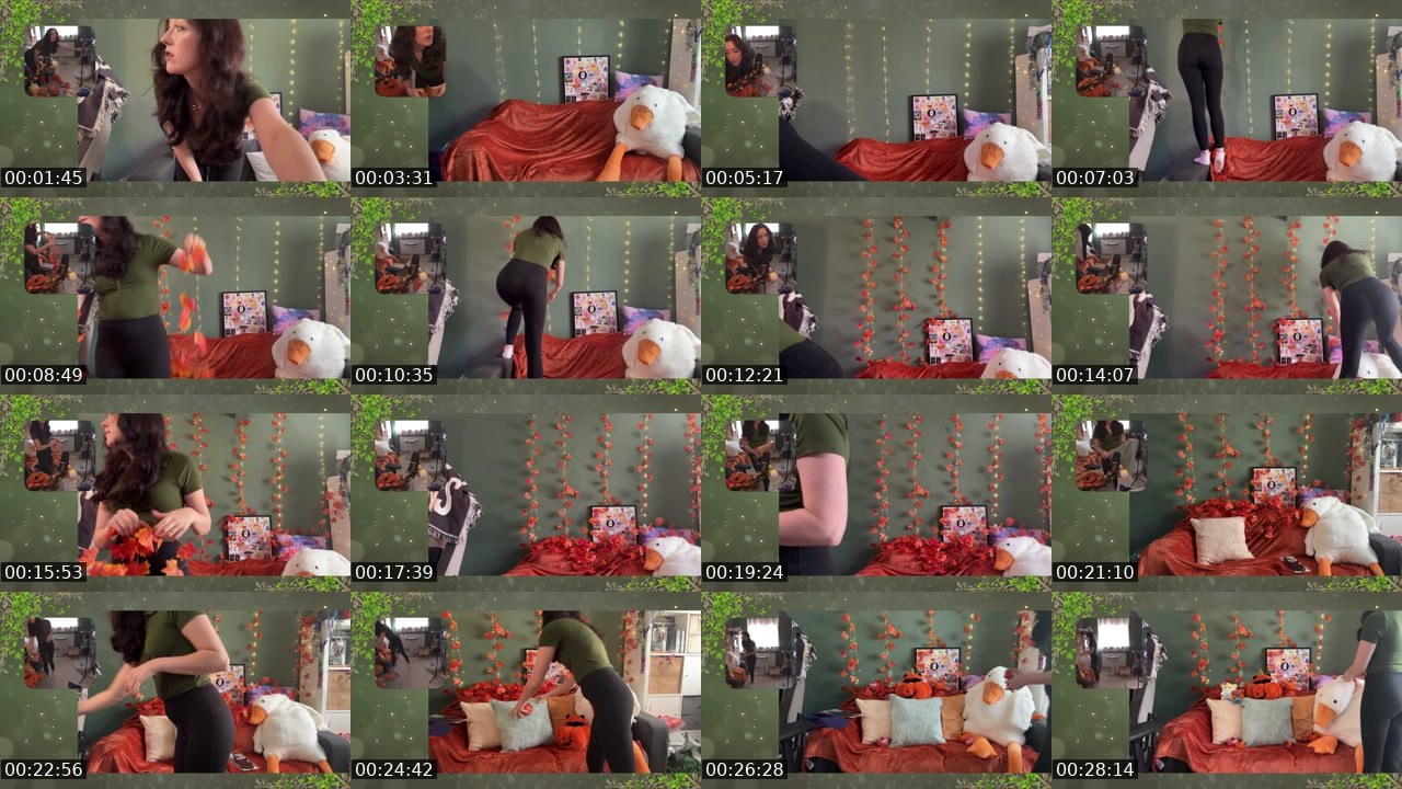 Contact-sheet preview of HollyDollly's Twitch recording