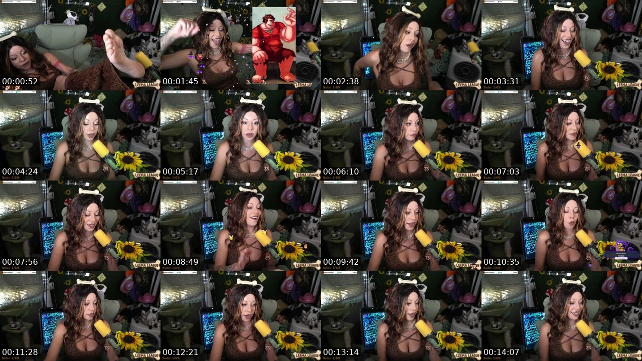 Contact-sheet preview of MissLeemaLee's Twitch recording