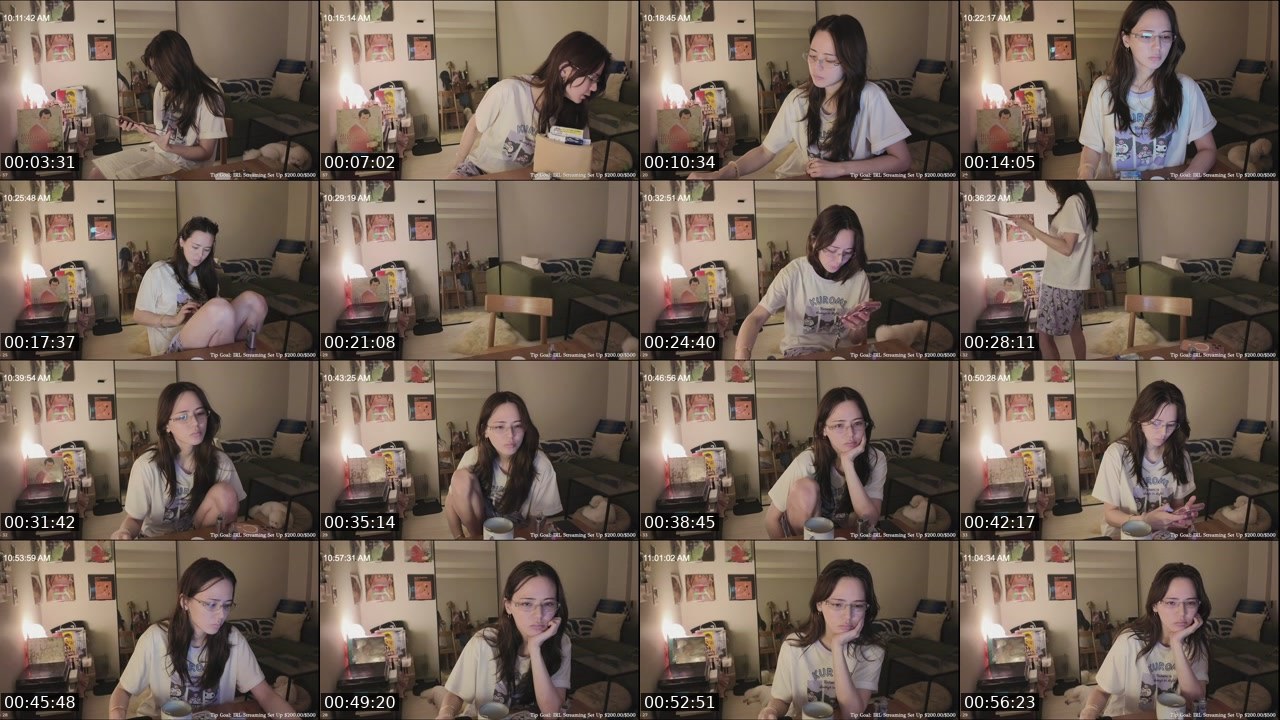 Contact-sheet preview of WithinLUXE's Twitch recording