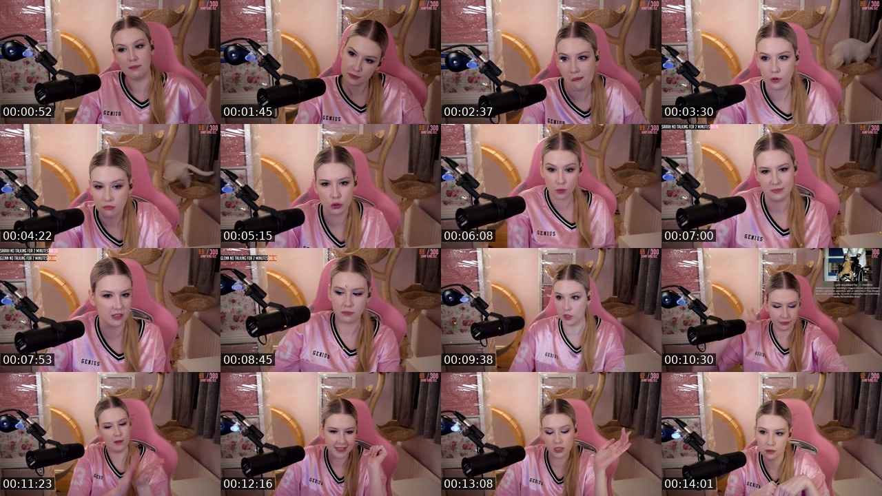 Contact-sheet preview of DomesticBliss's Twitch recording
