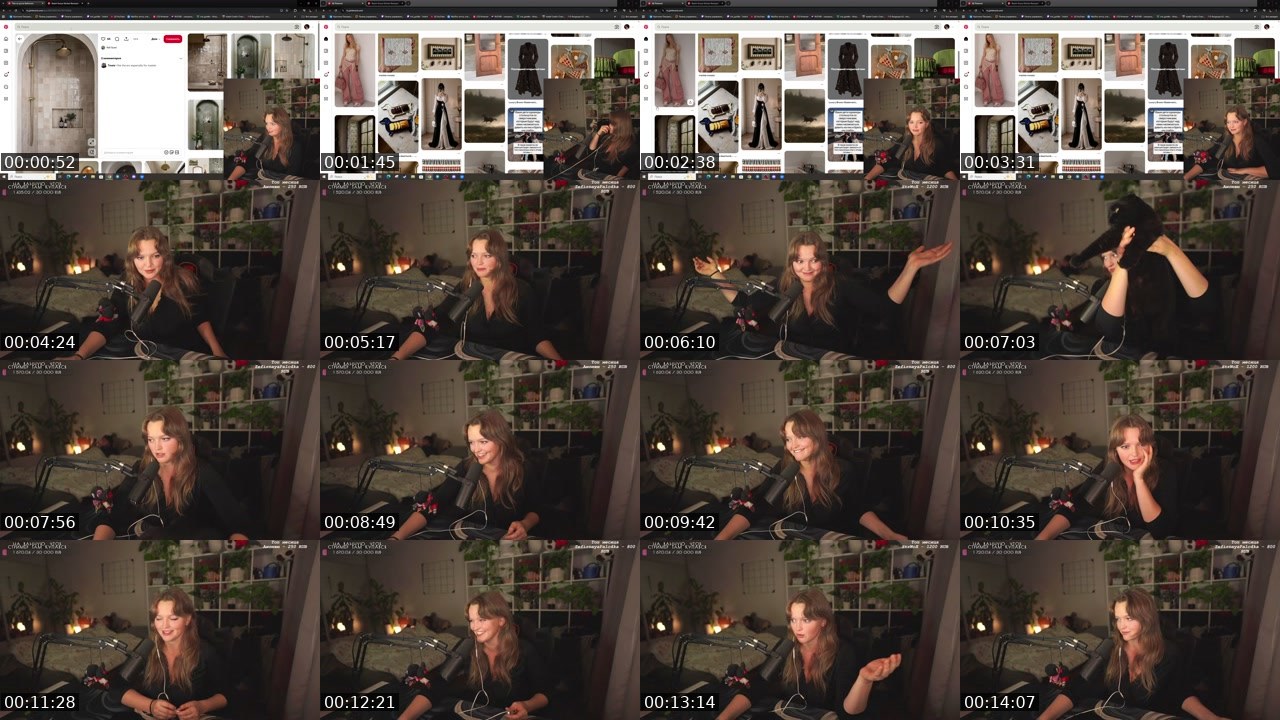 Contact-sheet preview of kris_grizliks's Twitch recording
