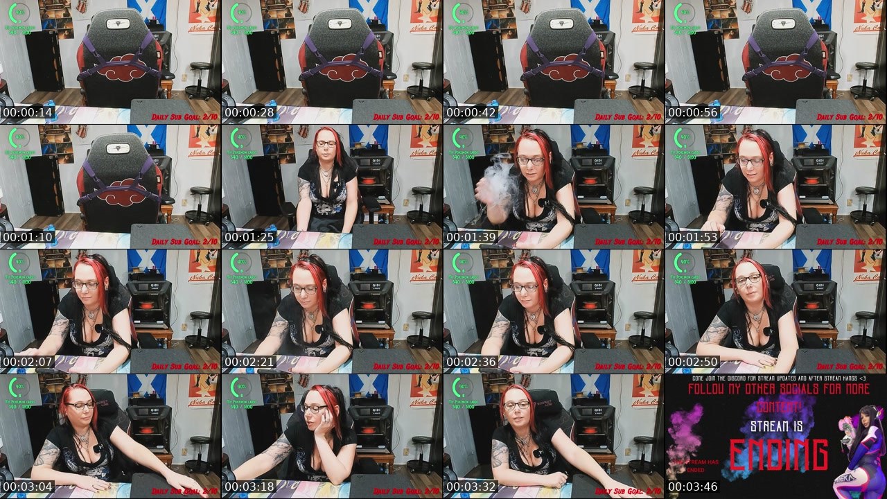 Contact-sheet preview of BrooklynBones's Twitch recording