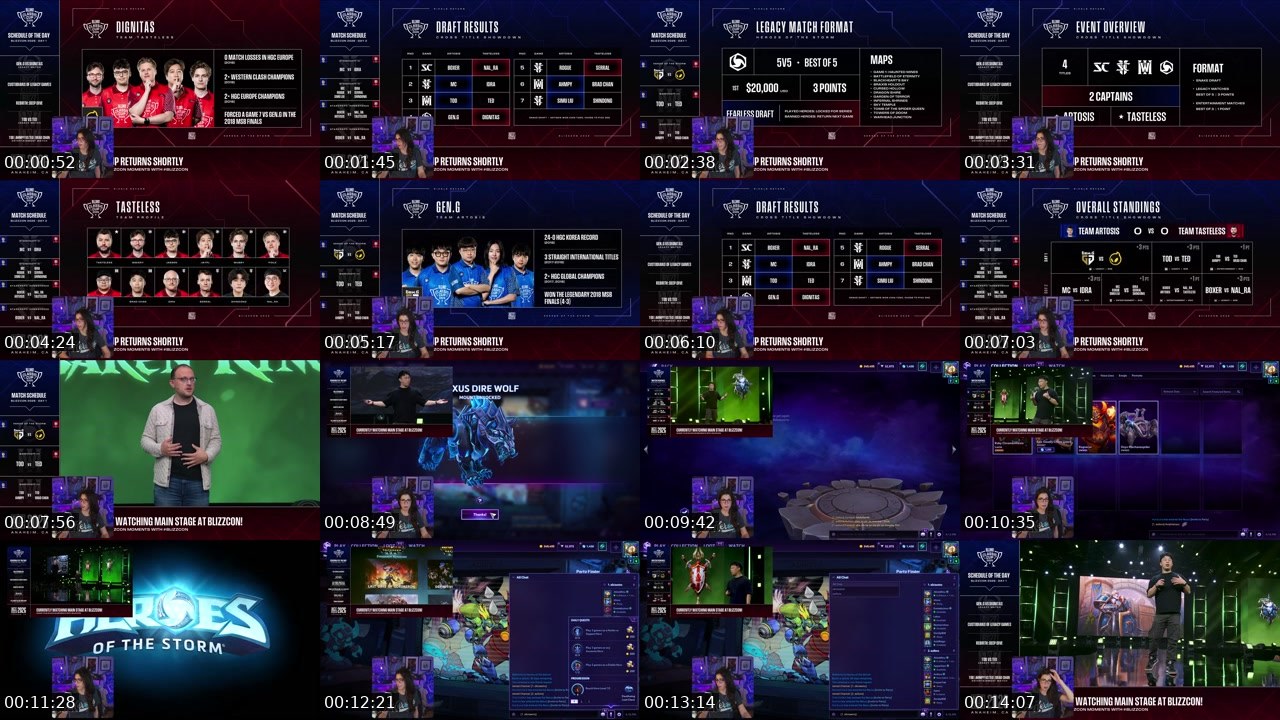 Contact-sheet preview of AliciaWins's Twitch recording