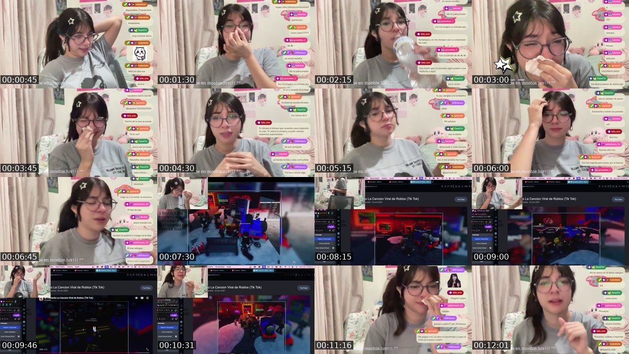 Contact-sheet preview of s0ftm0chiee's Twitch recording