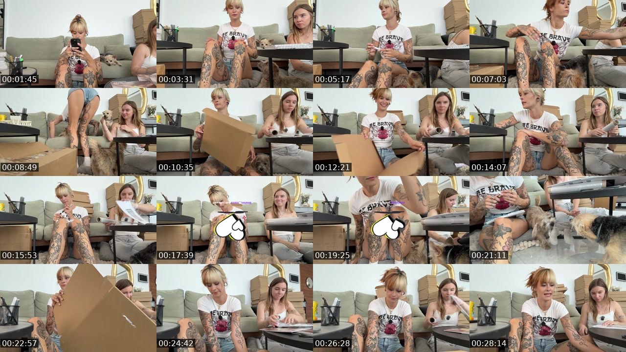 Contact-sheet preview of sallydinosaur_'s Twitch recording