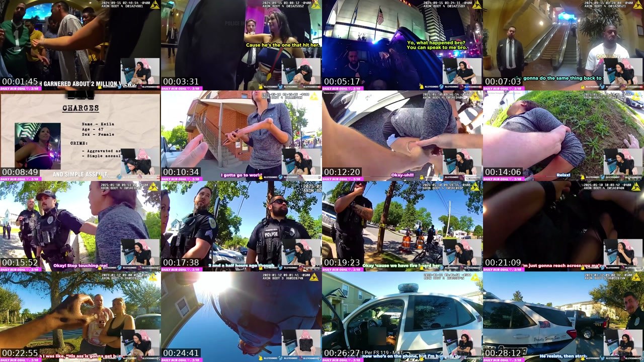 Contact-sheet preview of AllEyesOnDee's Twitch recording