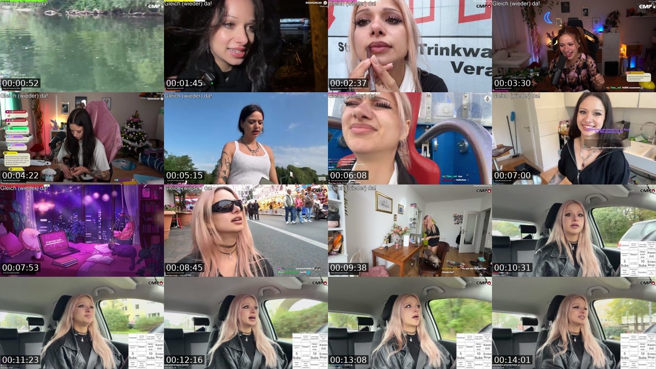 Contact-sheet preview of almostfeline's Twitch recording