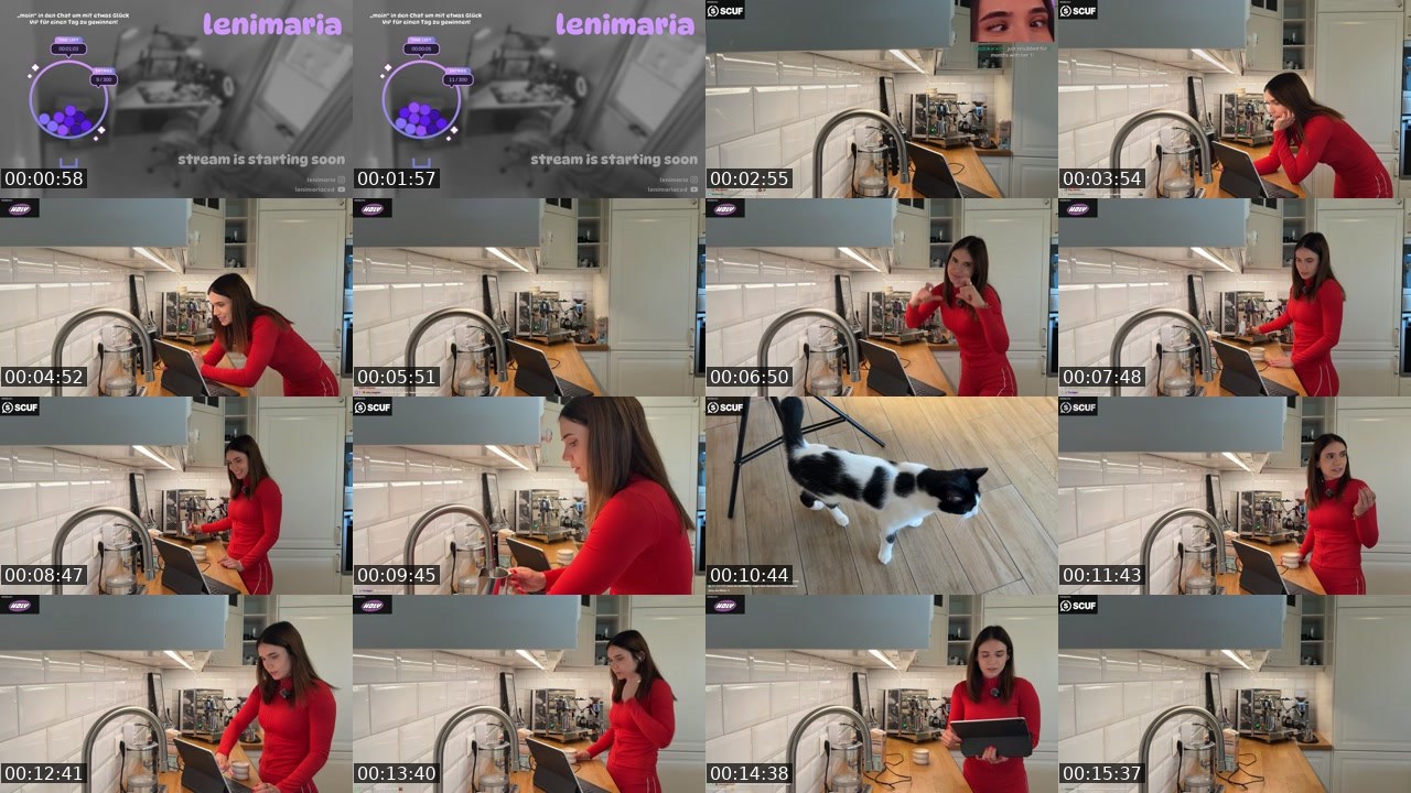 Contact-sheet preview of lenimaria's Twitch recording