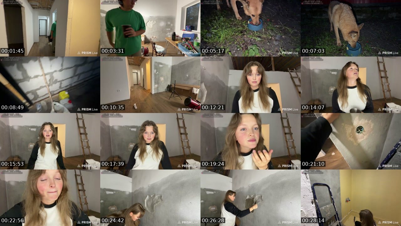 Contact-sheet preview of kris_grizliks's Twitch recording