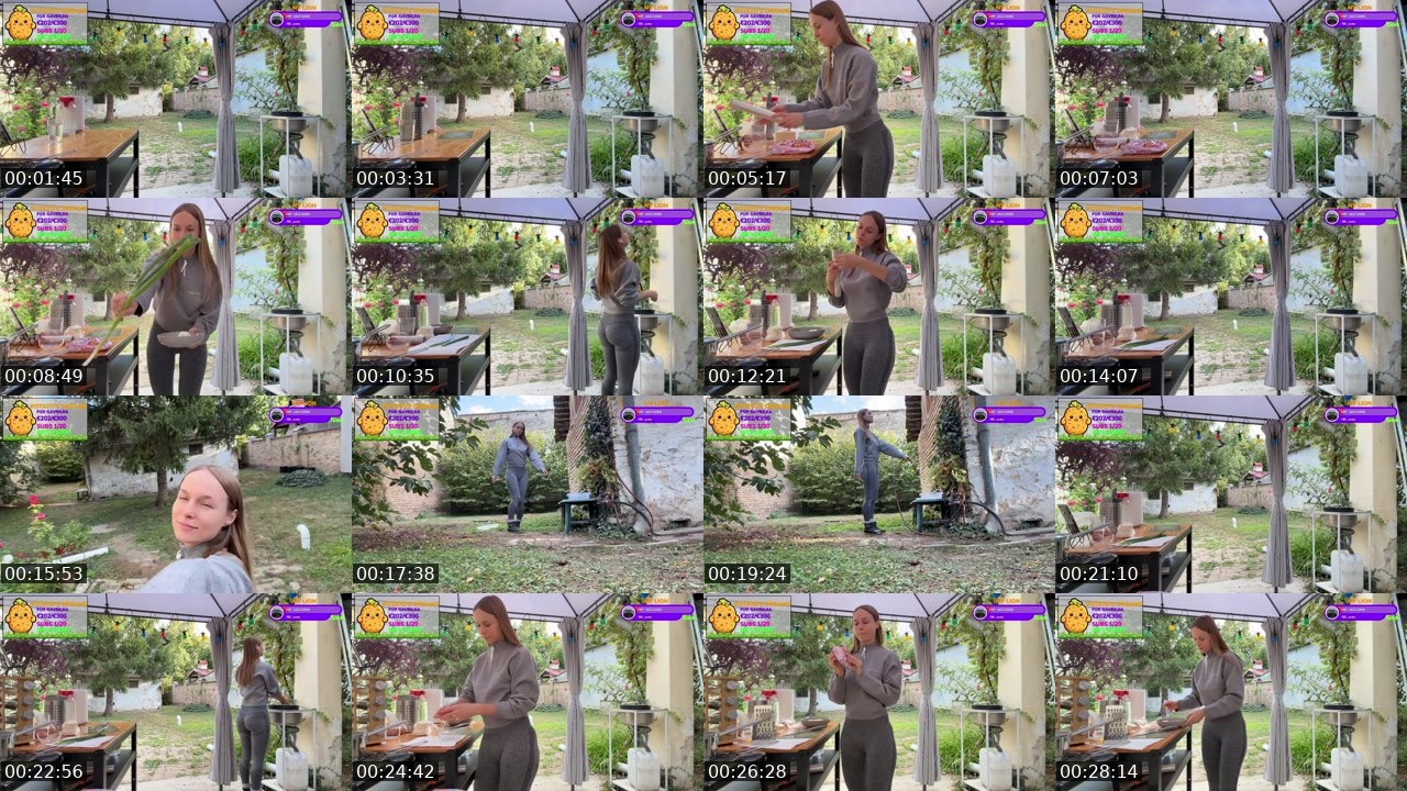 Contact-sheet preview of Gavrilka's Twitch recording