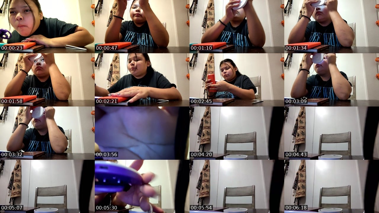 Contact-sheet preview of g59lillianna's Twitch recording