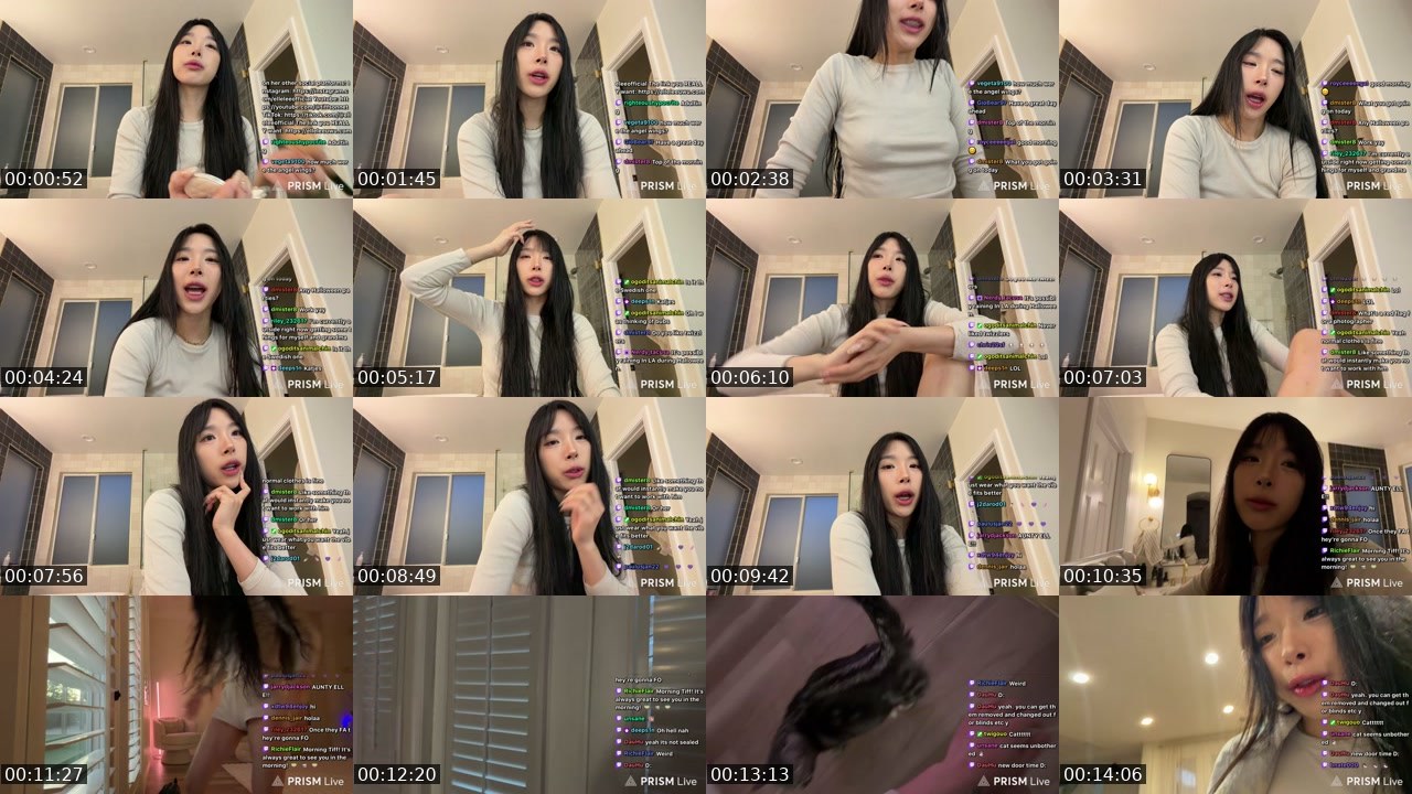 Contact-sheet preview of xElleLee's Twitch recording