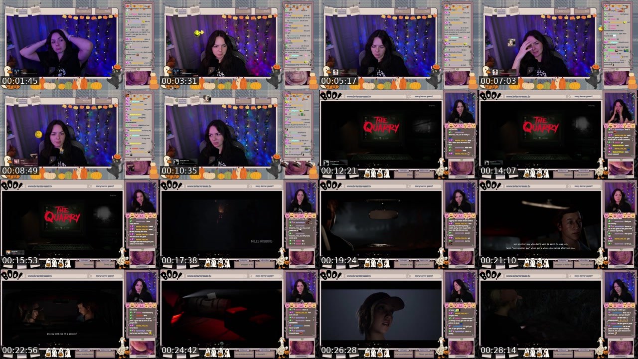 Contact-sheet preview of briarfeu1's Twitch recording