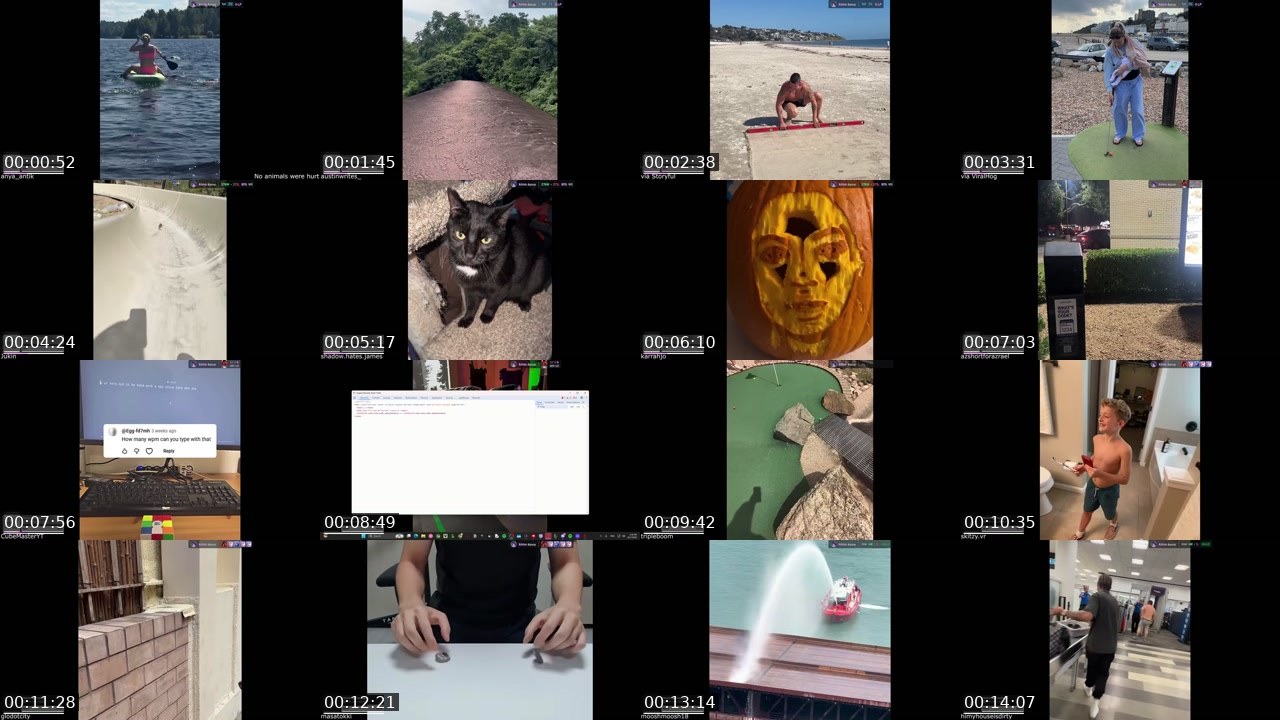 Contact-sheet preview of lolkimoo's Twitch recording