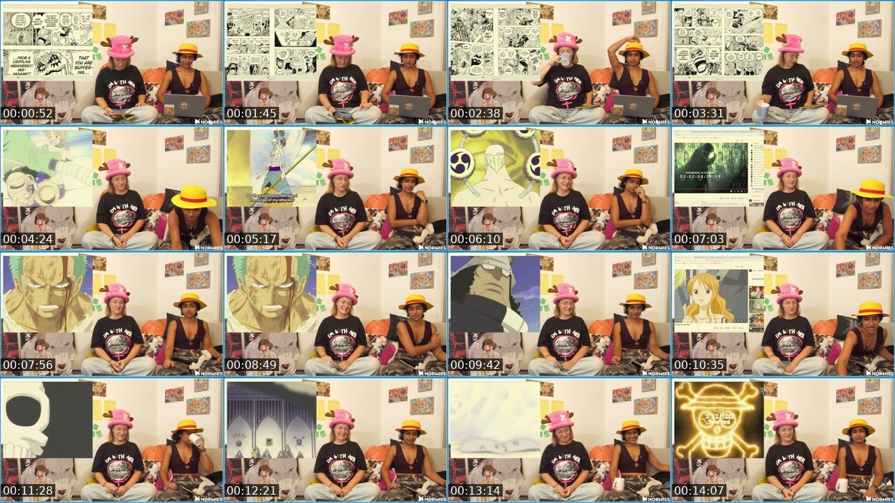 Contact-sheet preview of TheNormiesTV's Twitch recording