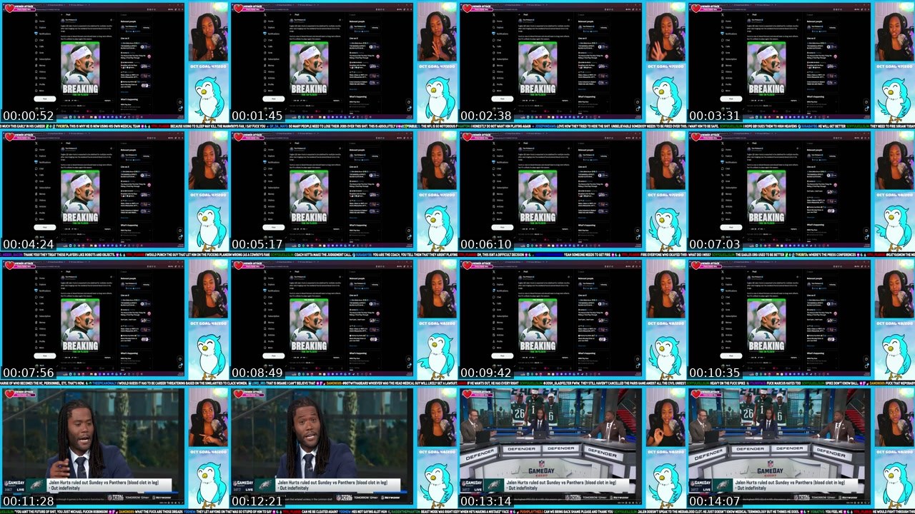 Contact-sheet preview of RealMamaEagle's Twitch recording