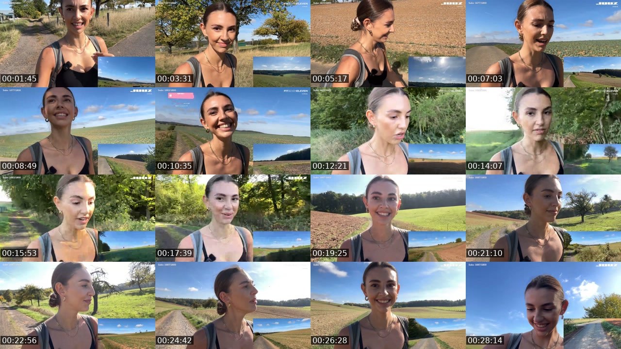 Contact-sheet preview of celi's Twitch recording