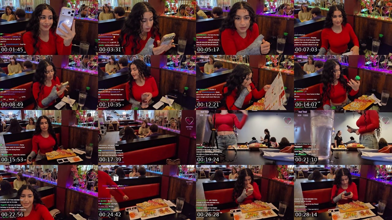 Contact-sheet preview of Malek_04's Twitch recording