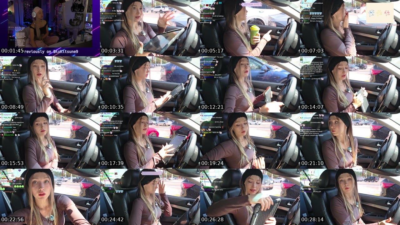 Contact-sheet preview of BluKitsune9's Twitch recording