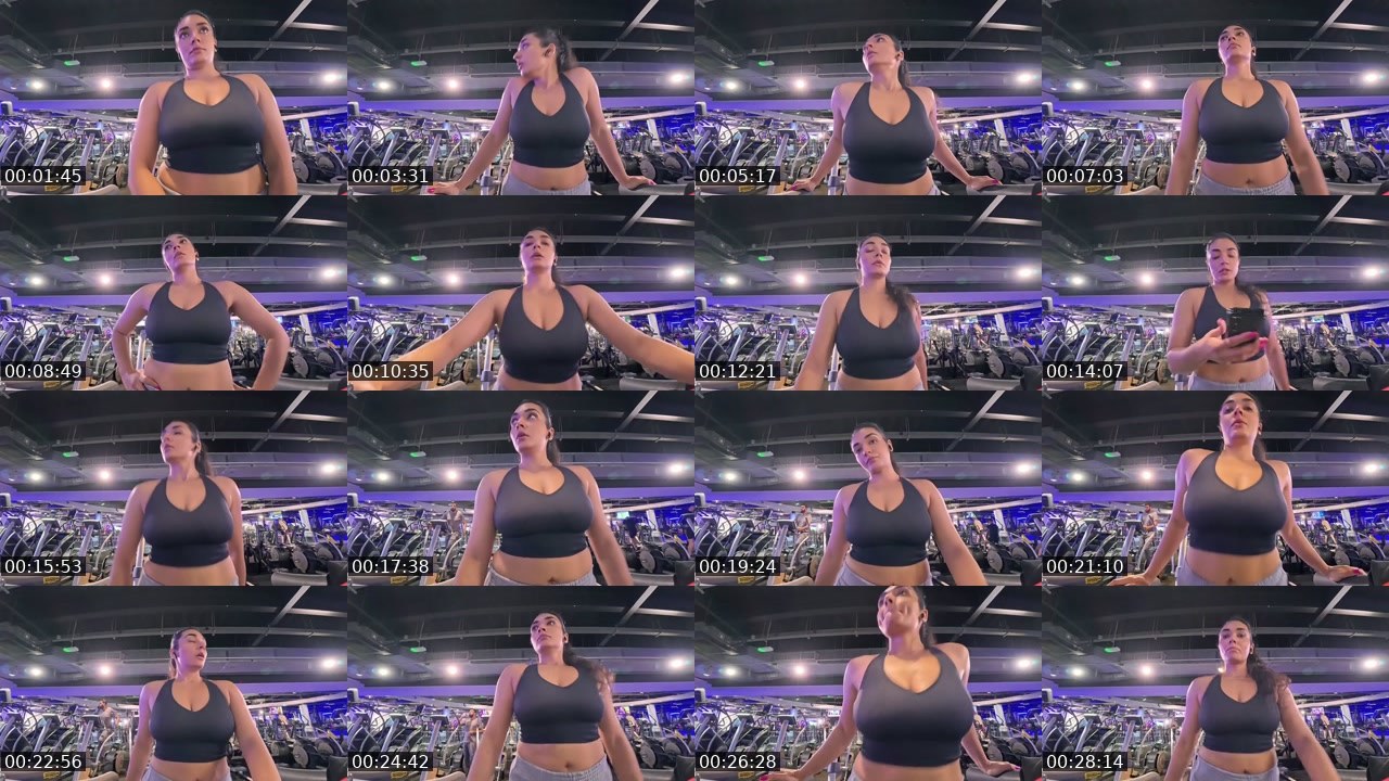 Contact-sheet preview of RAHHH_RAHHH's Twitch recording