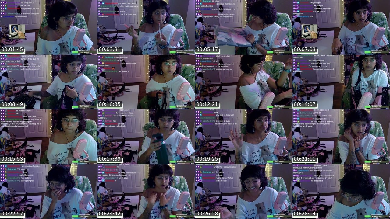 Contact-sheet preview of BungeeMFGum's Twitch recording
