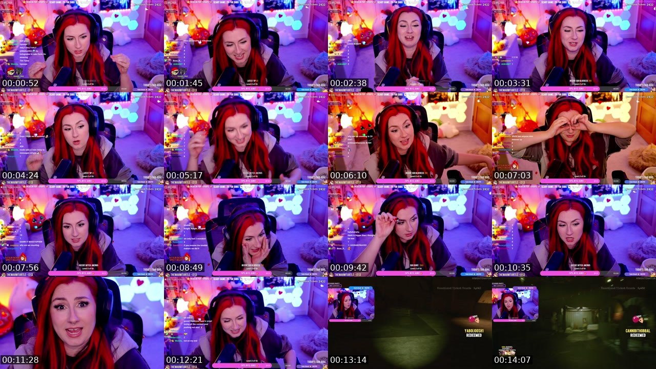 Contact-sheet preview of knightenator's Twitch recording