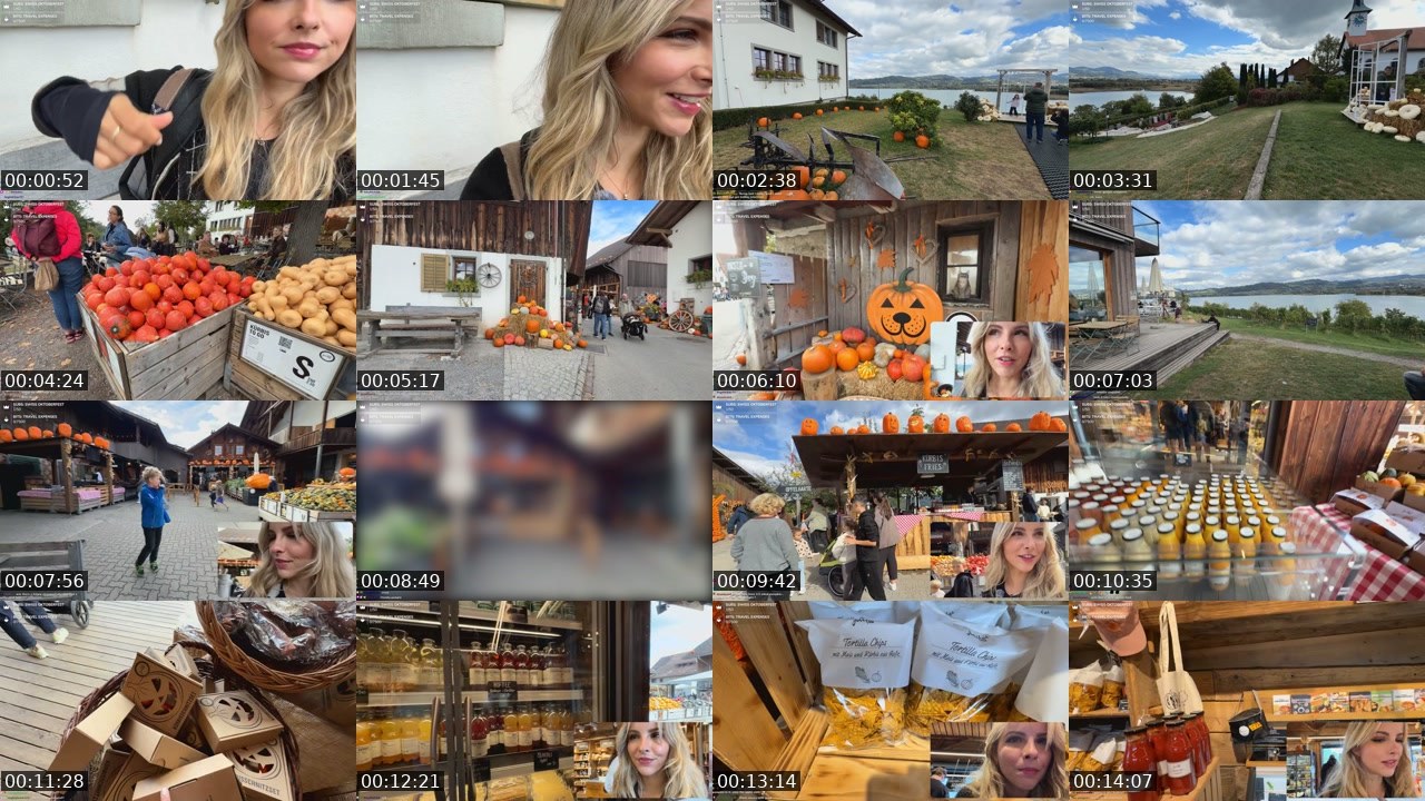 Contact-sheet preview of Stay_C's Twitch recording